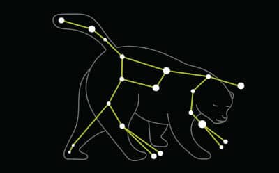 Star constellation Ursa Major