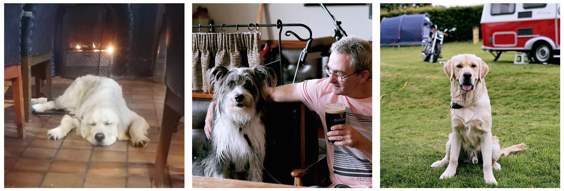 Pet Friendly Campsite and Pub – The Shepherds Rest Pub and Campsite. Pet Friendly Campsite and Pub - The Shepherds Rest Pub and Campsite.