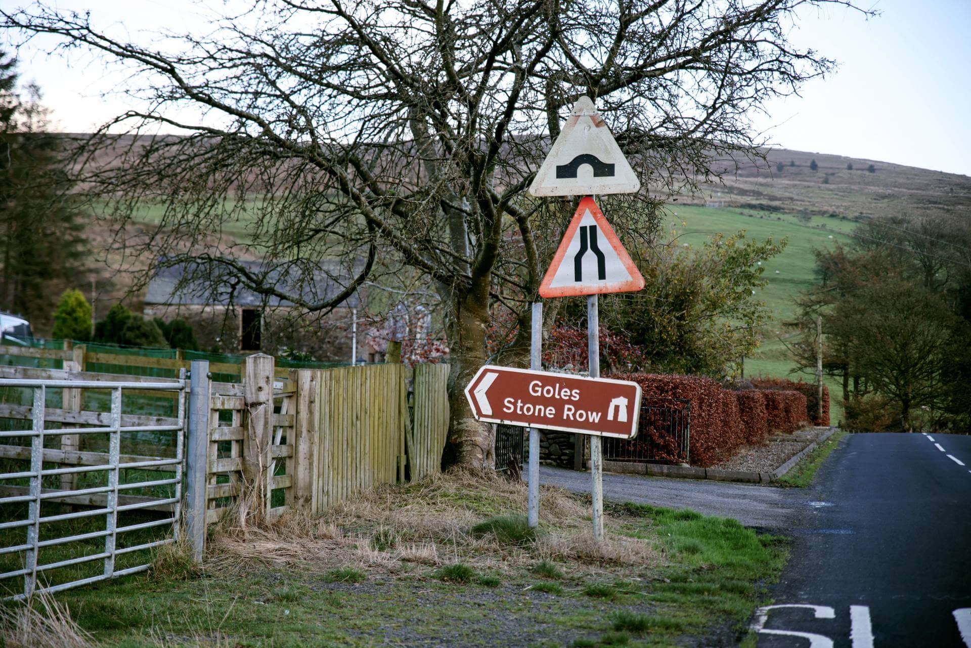 Goles Stone Row in the Sperrins, Northern Ireland