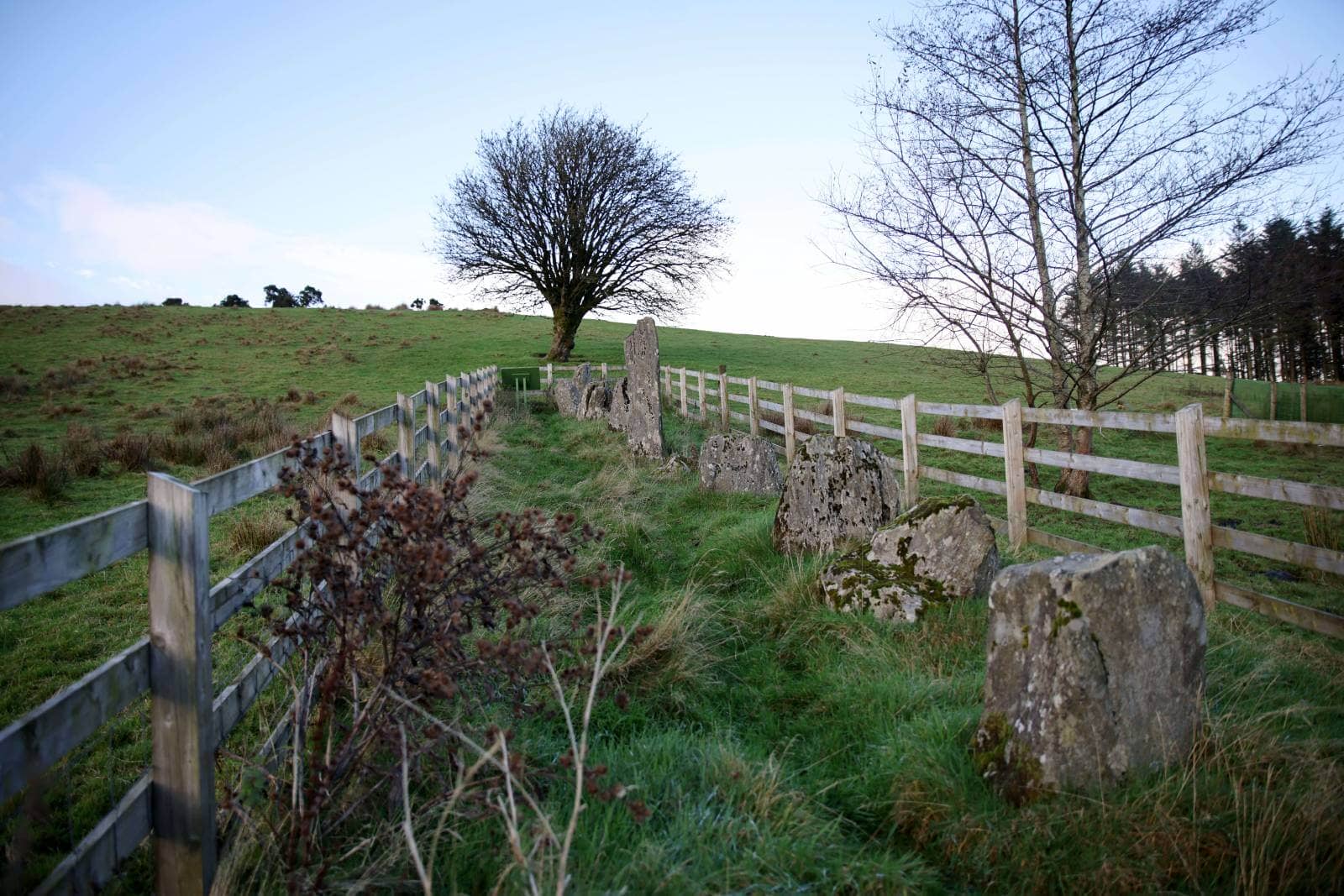 Goles Stone Row in the Sperrins, Northern Ireland