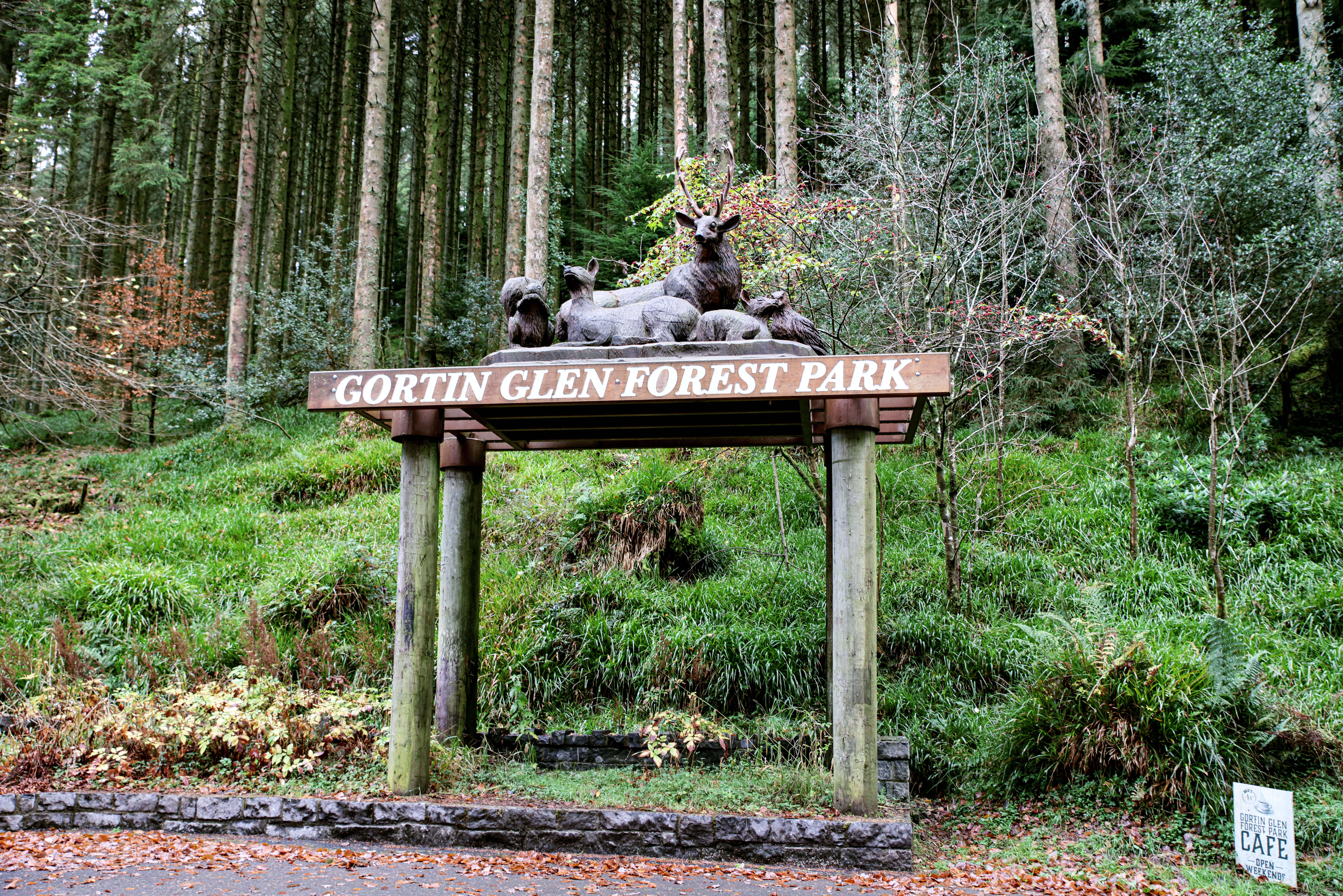 Gortin Glen Forest Park - 01